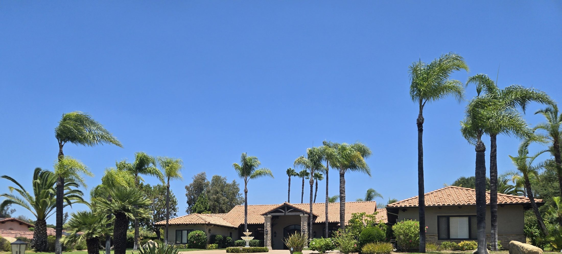 Multiple mature palms in front of a Poway estate property