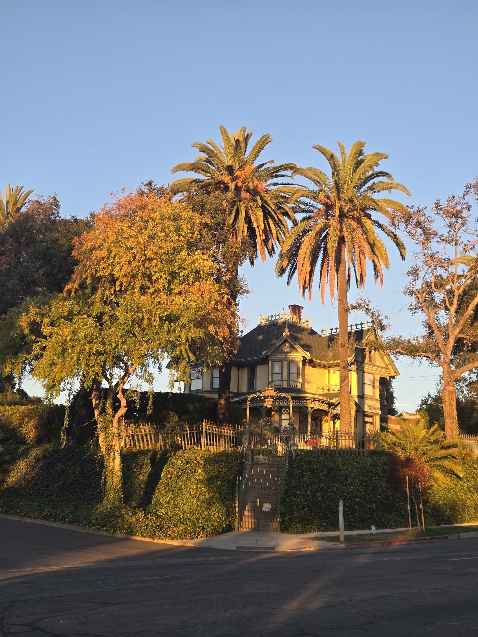 Albert H. Beach House in Old Escondido framed by mature Canary Island date palms at golden hour