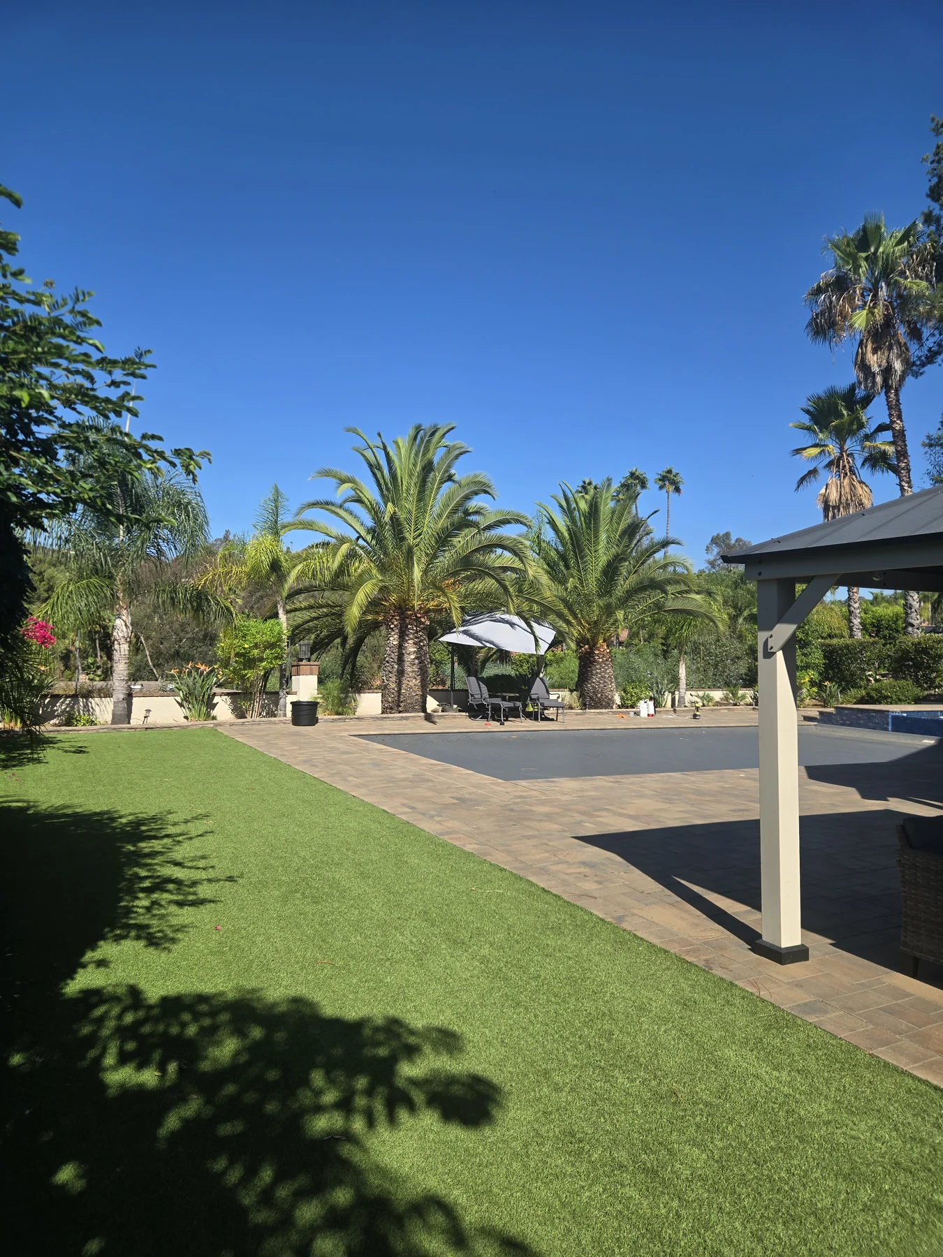 Two Canary Island date palms beside a pool, lawn and shaded seating area