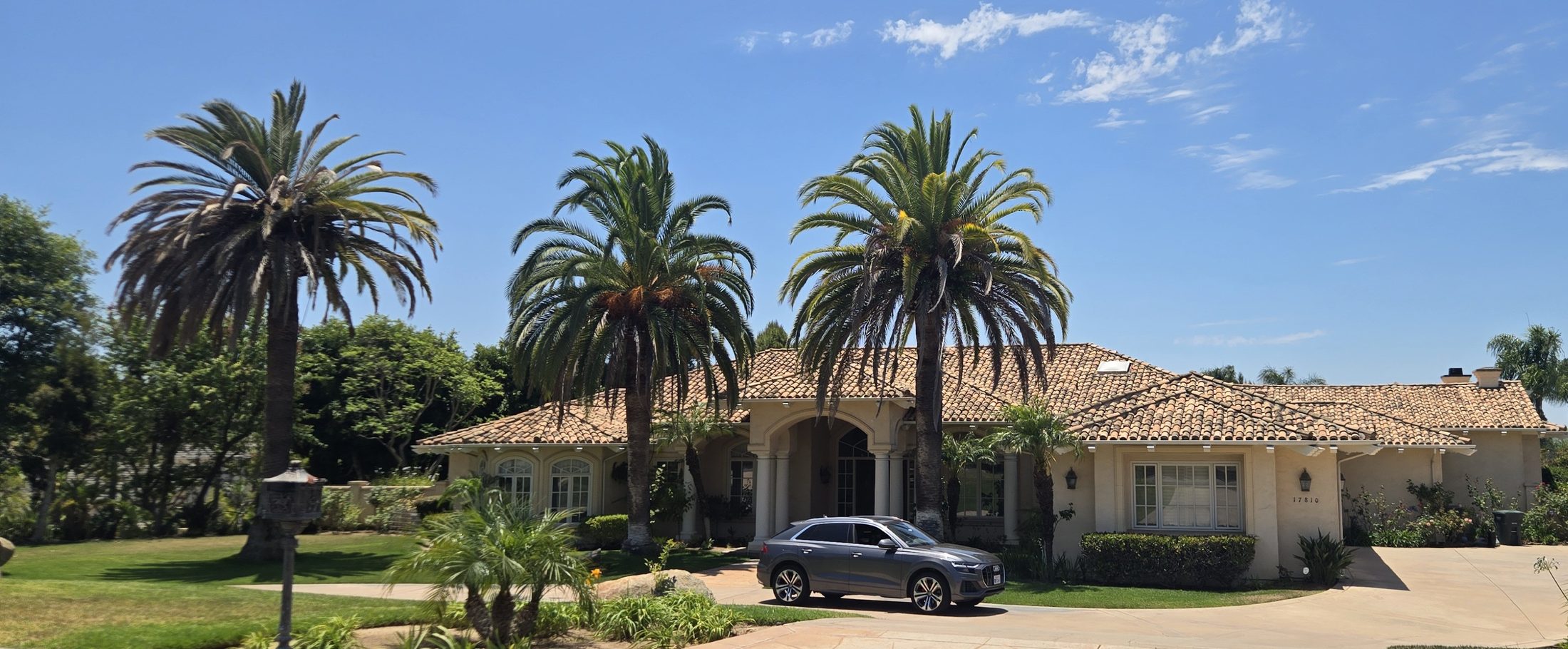 Mature Canary Island date palms with complete crowns visible in a Poway property landscape